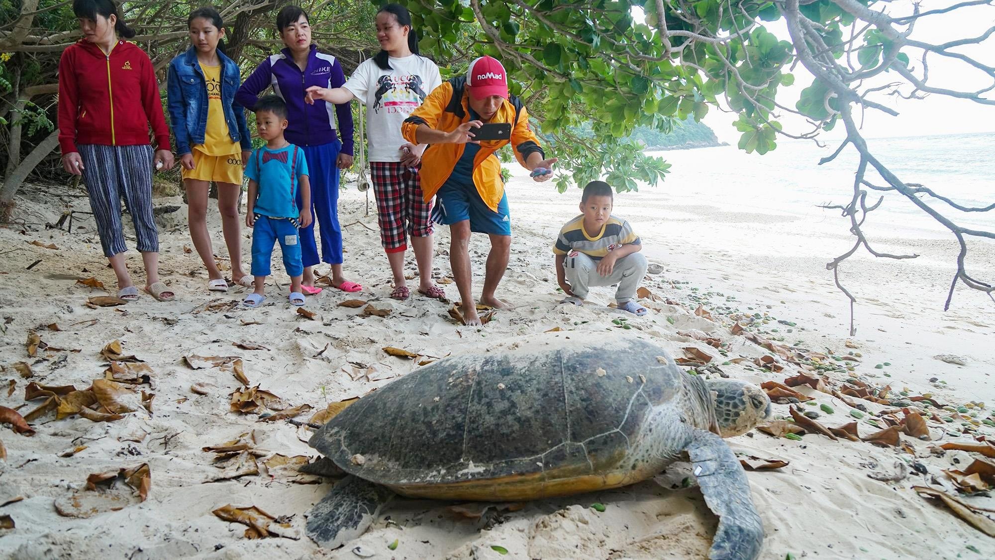 Cuu ho rua bien Con Dao anh 46