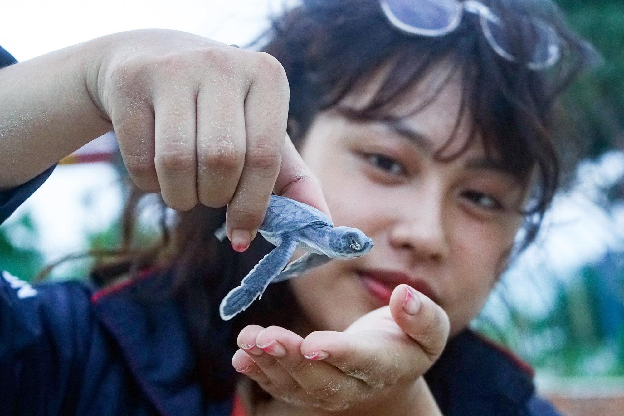 Cuu ho rua bien Con Dao anh 1