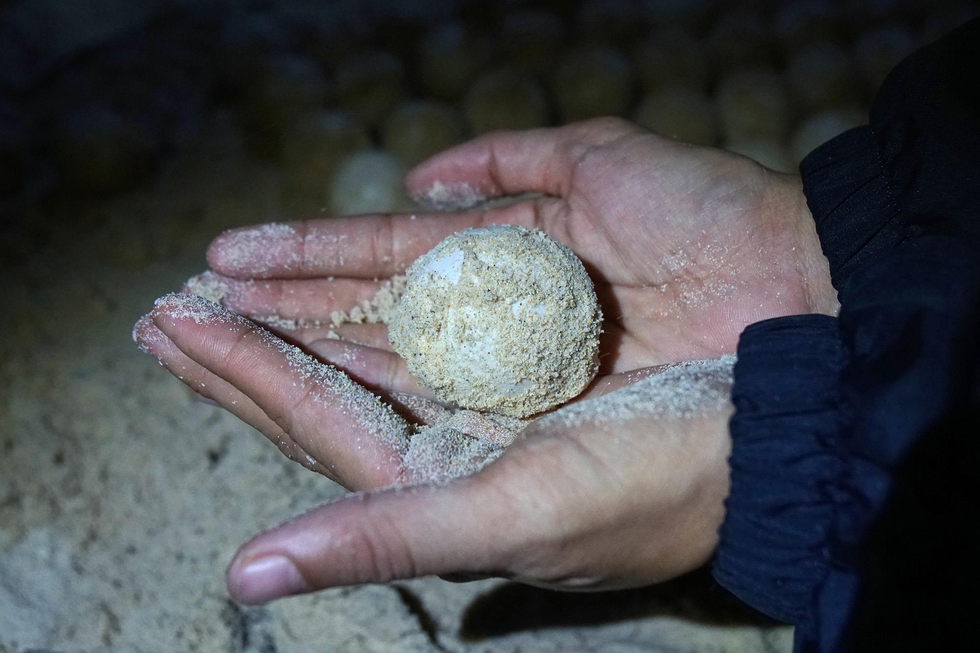 Cuu ho rua bien Con Dao anh 22