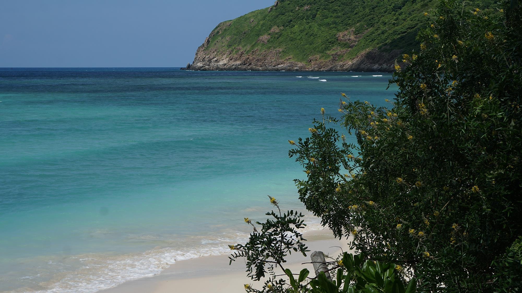 Cuu ho rua bien Con Dao anh 4