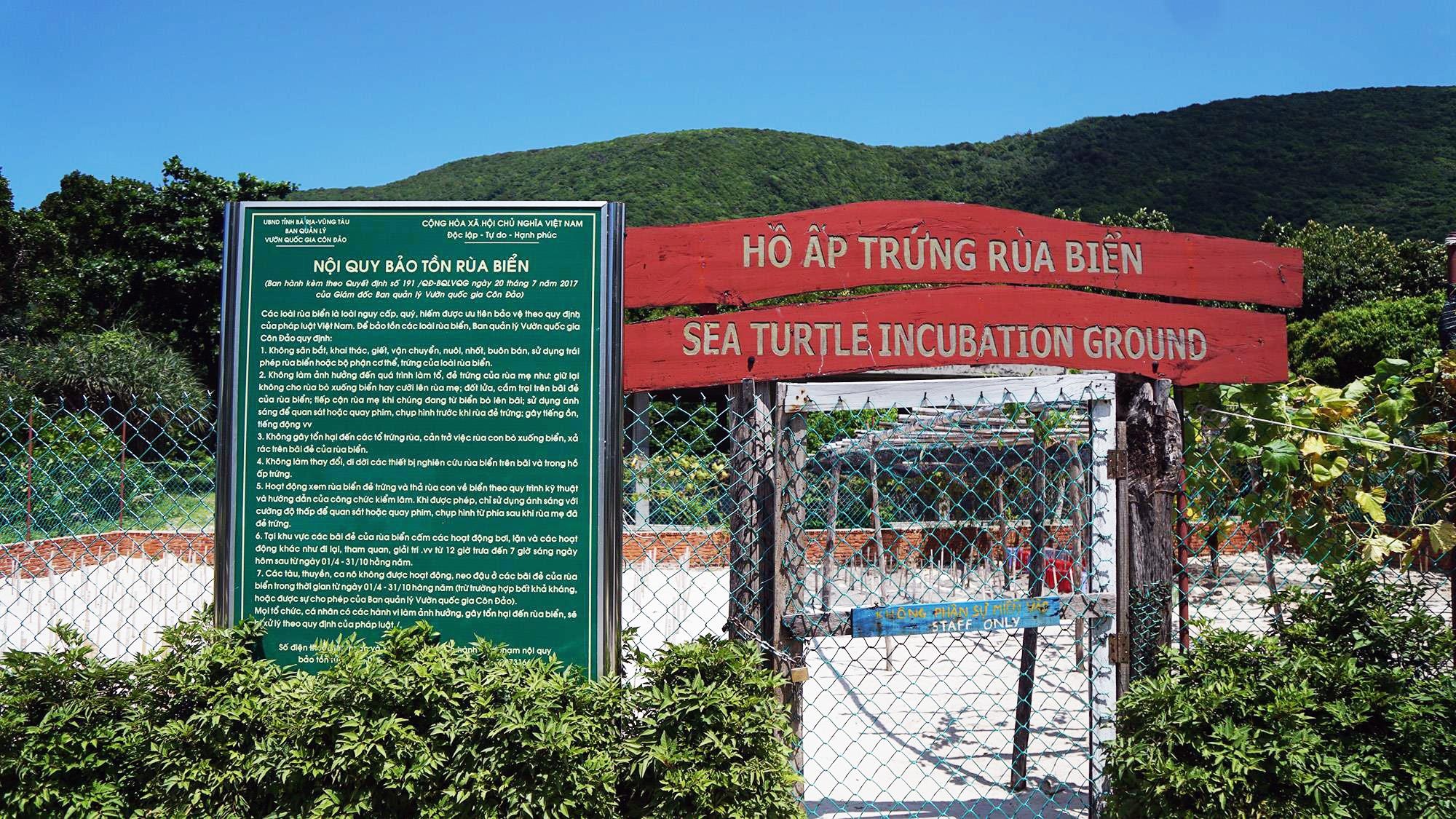 Cuu ho rua bien Con Dao anh 44