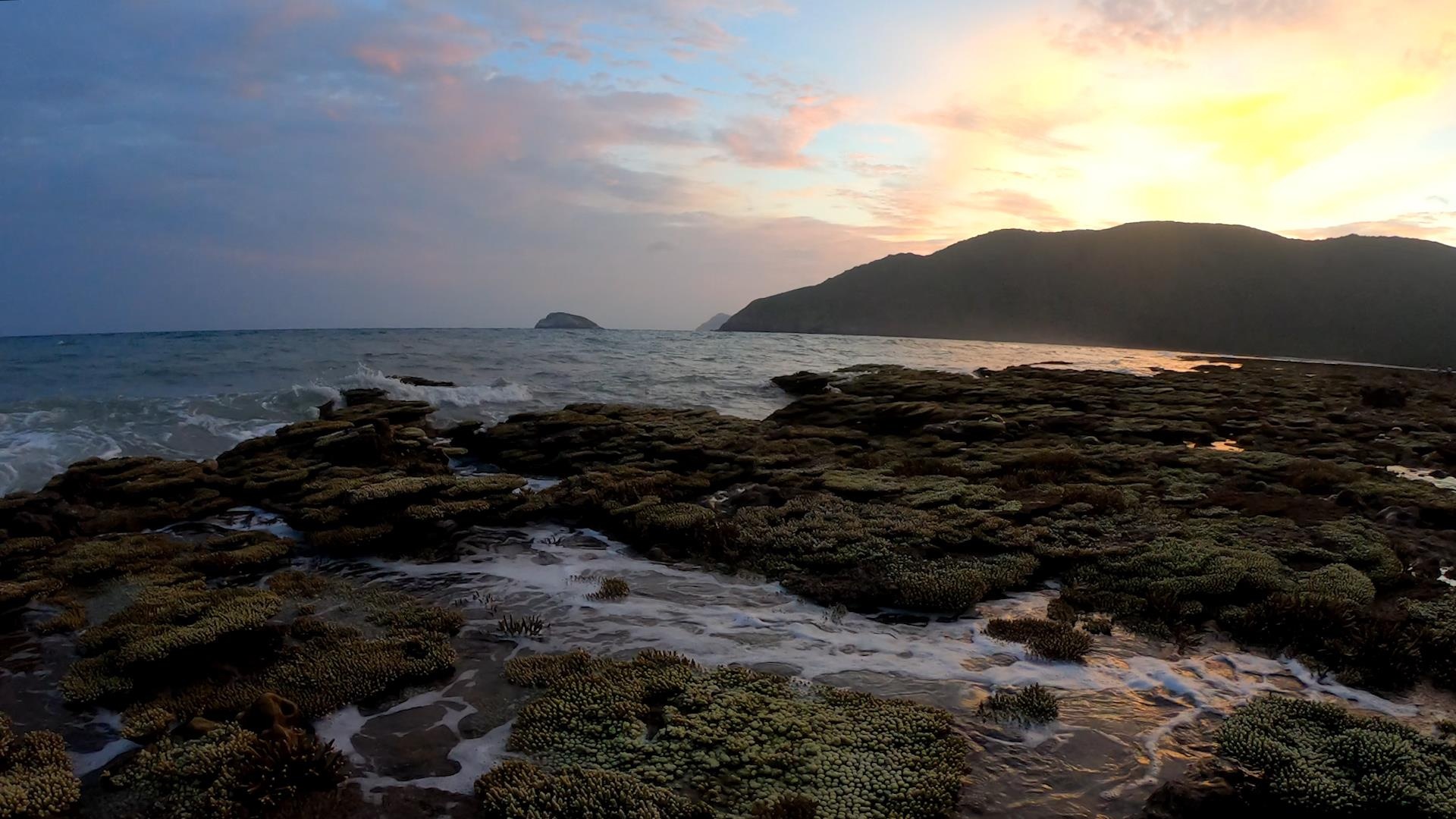 Hanh trinh cuu ho rua bien tai Con Dao hinh anh