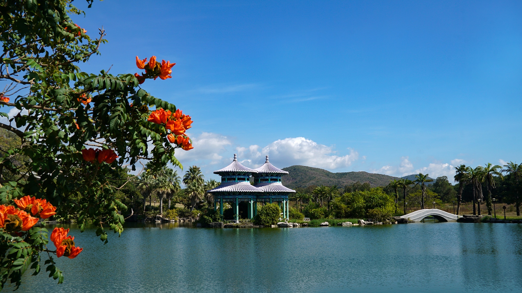 Tuong Quan Am dao Hai Nam cao nhat the gioi anh 10