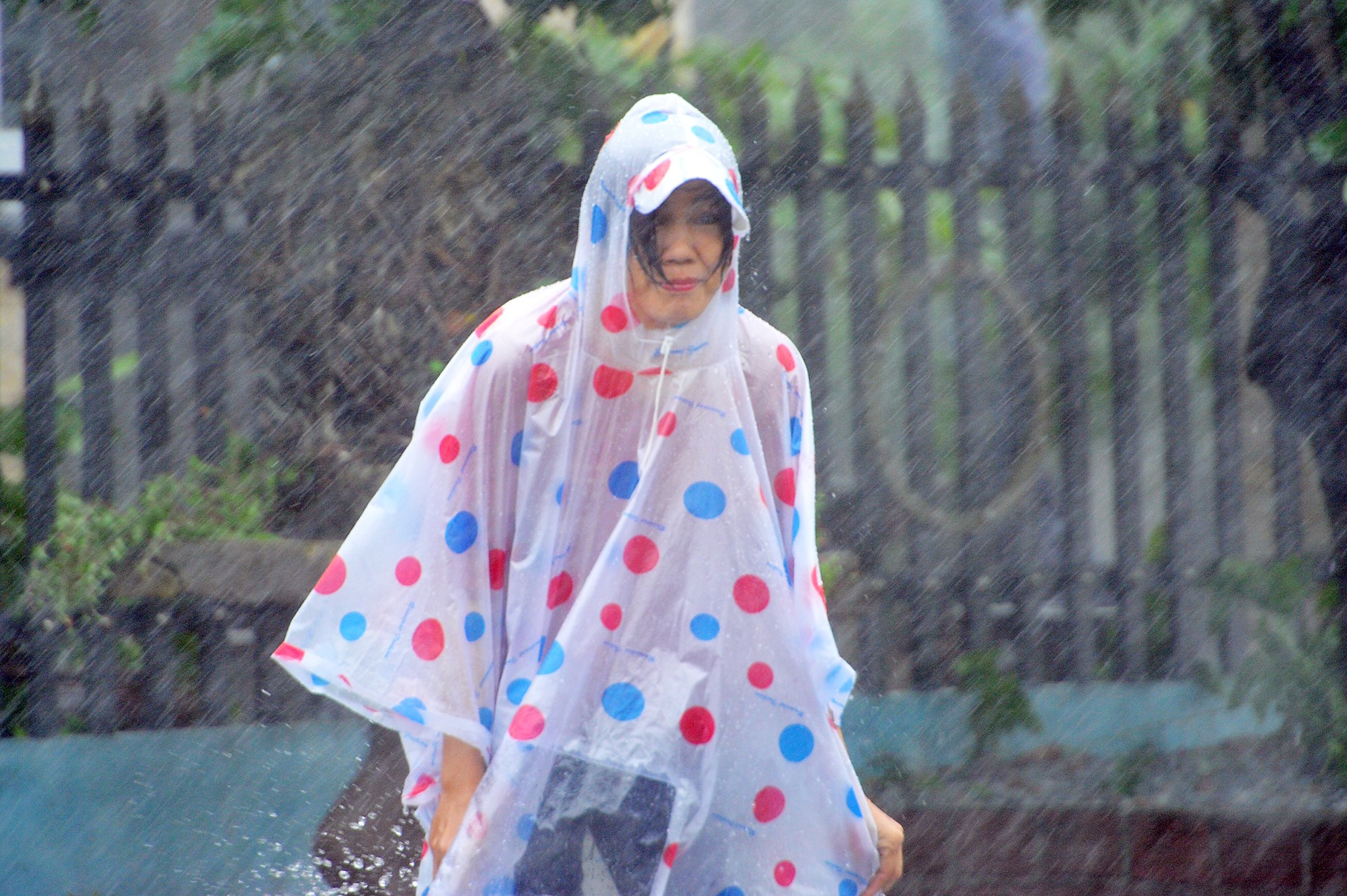 Bao so 9 quan thao Da Nang - Phu Yen hinh anh