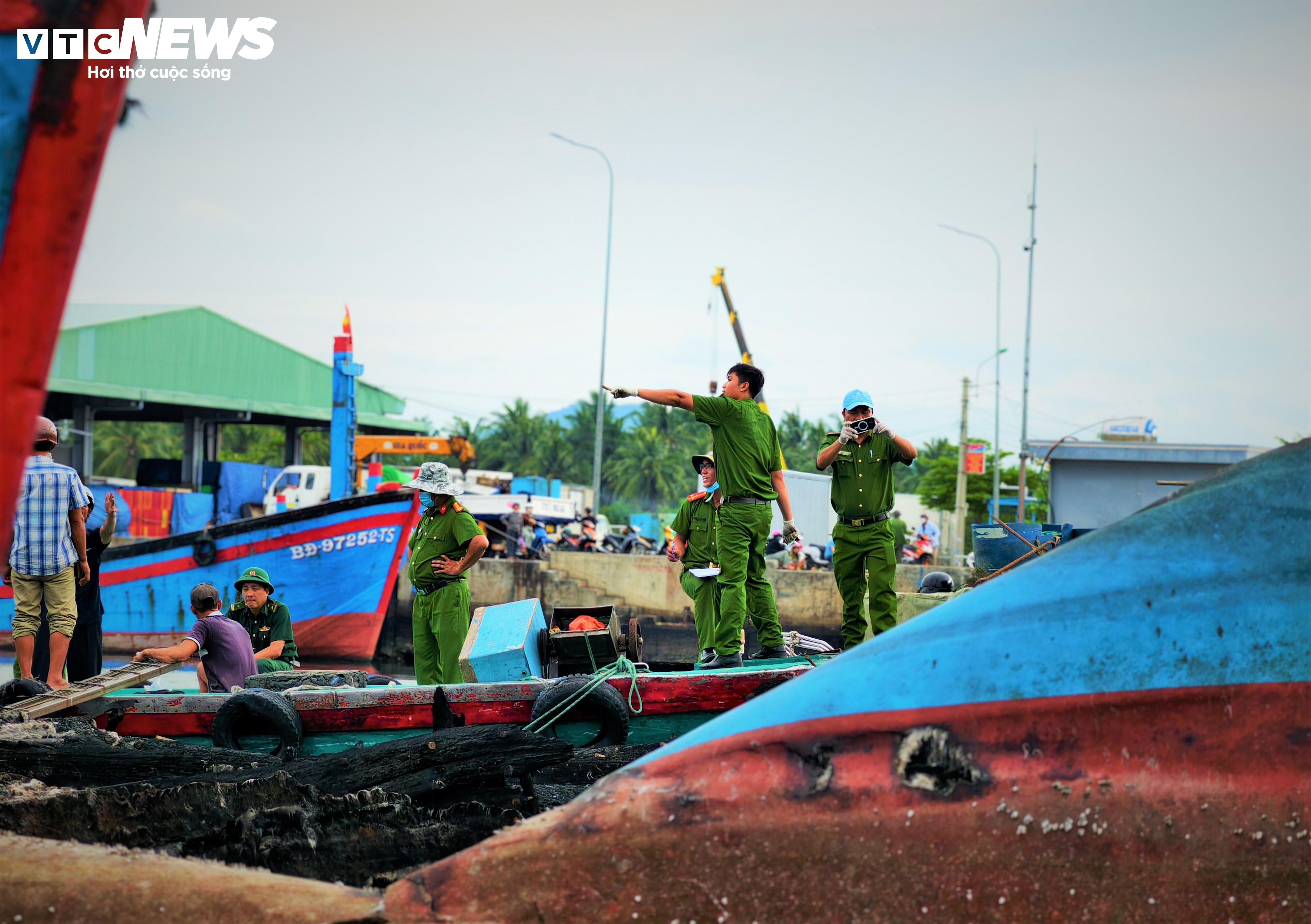 Cảng c&aacute; Tam Quan ảnh 13