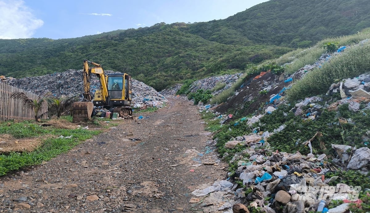 TP.HCM bãi bỏ quyết định chuyển 1,92 ha rừng làm nhà máy rác Côn Đảo