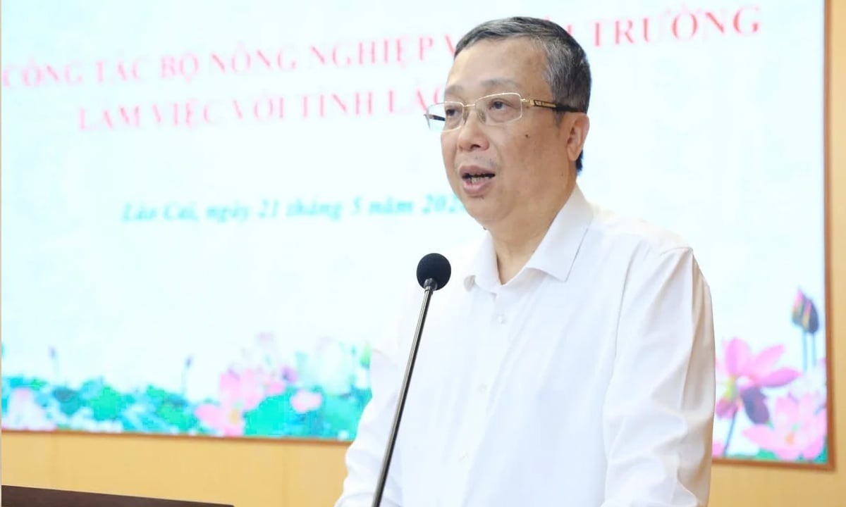Khai trừ Đảng Thứ trưởng Bộ Nông nghiệp và Môi trường Hoàng Trung
