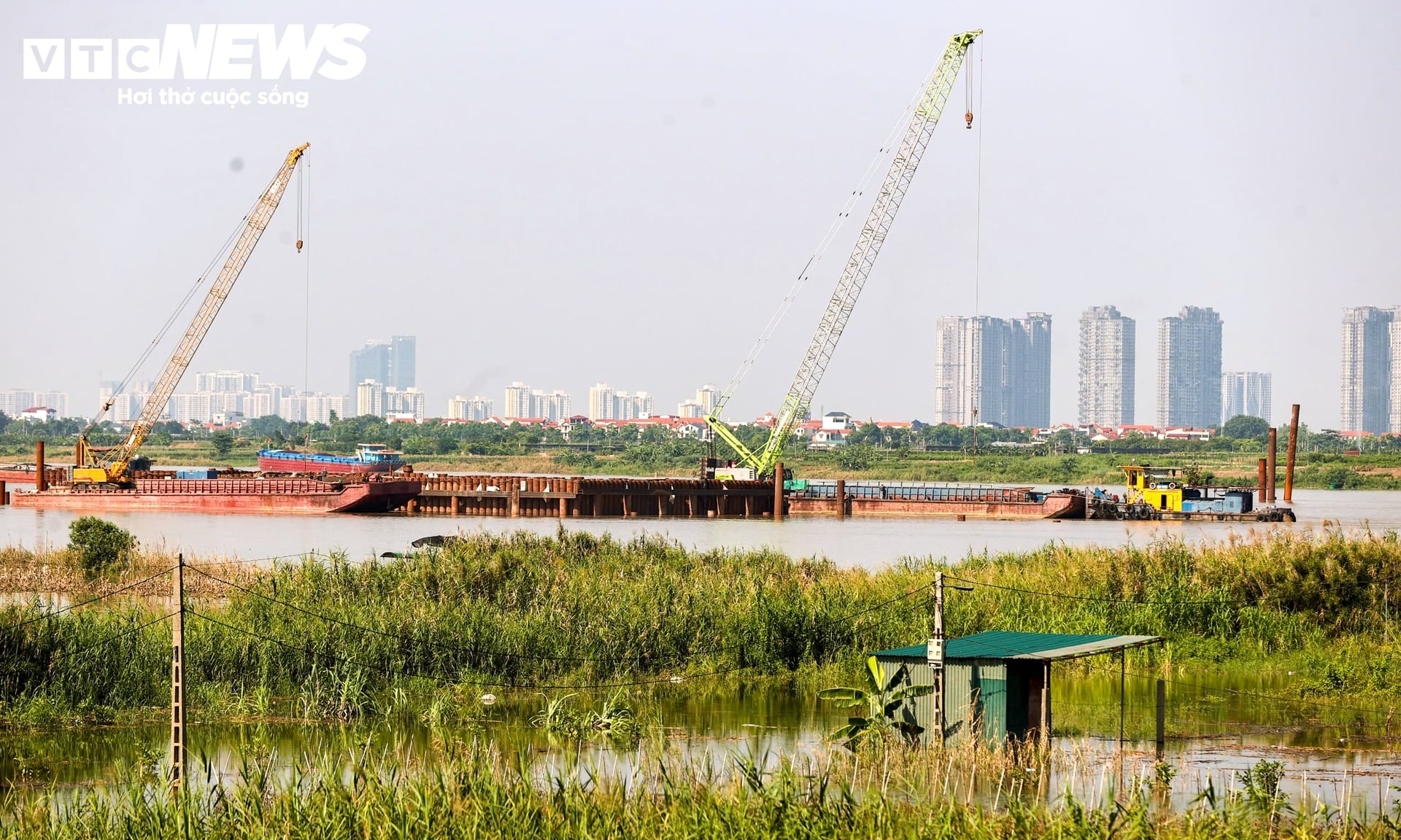 Cầu Ngọc Hồi ảnh 10