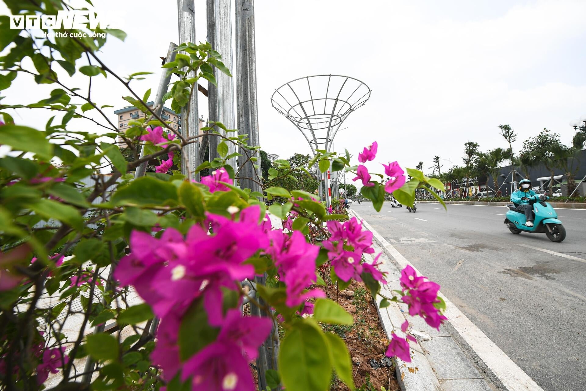 V&agrave;nh đai 2, 5 ảnh 5