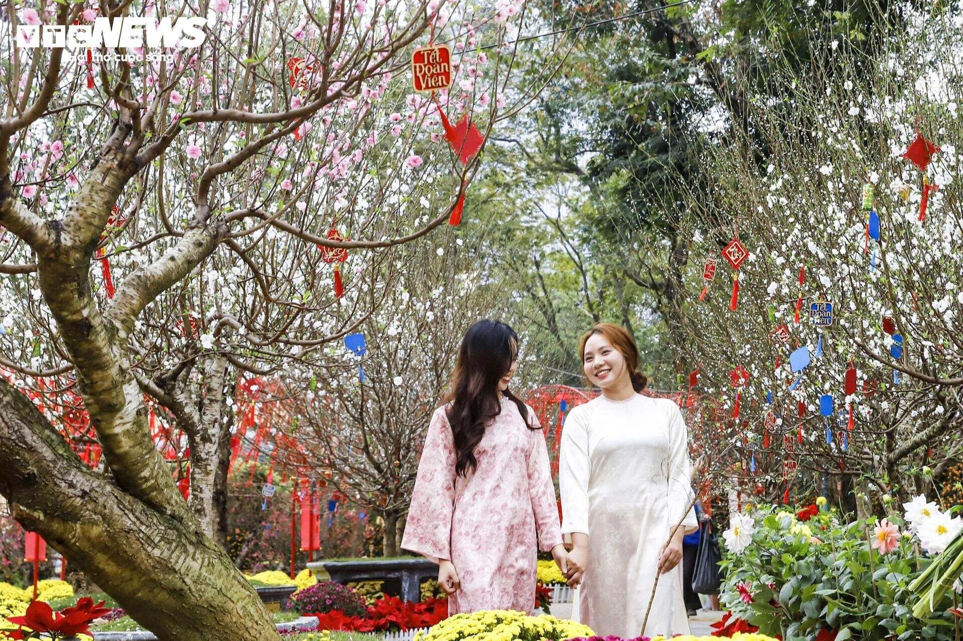 Tết Nguy&ecirc;n đ&aacute;n ảnh 1