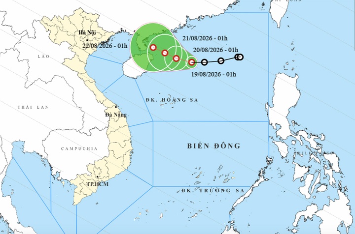 Tin mới nhất về đợt mưa lớn ở miền Bắc, áp thấp nhiệt đới