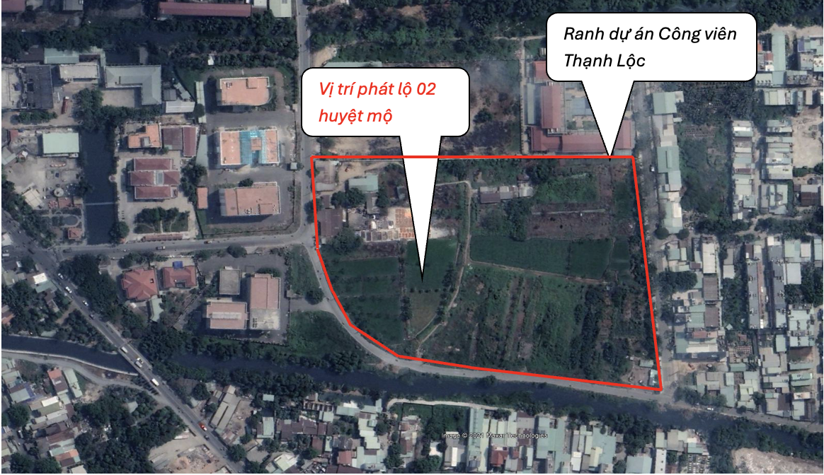 TP.HCM ảnh 4