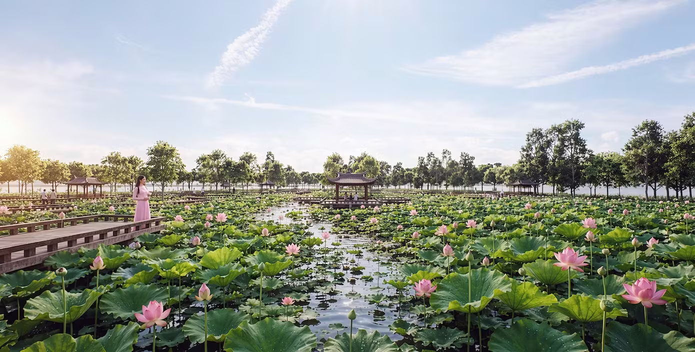 Hồ T&acirc;y ảnh 2