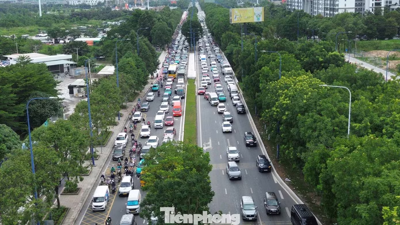 TP.HCM ảnh 7