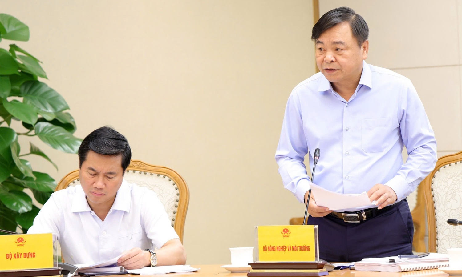 hệ thống s&ocirc;ng ảnh 2