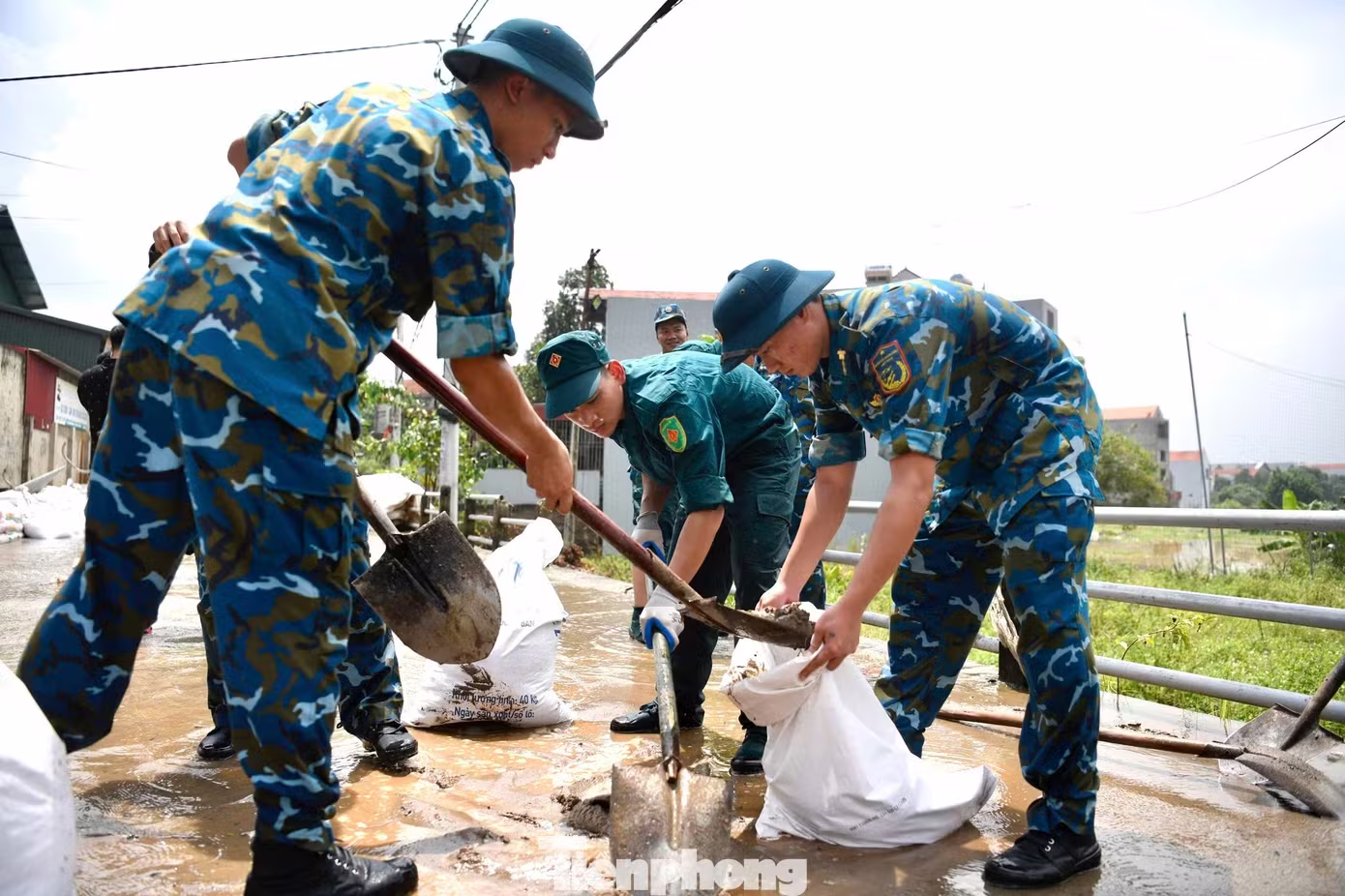 ngập ảnh 14