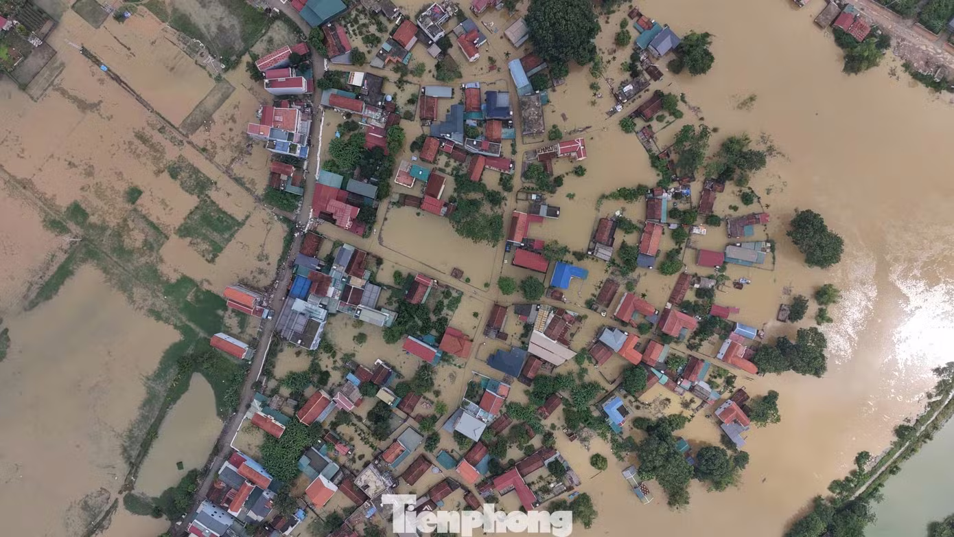 ngập ảnh 1