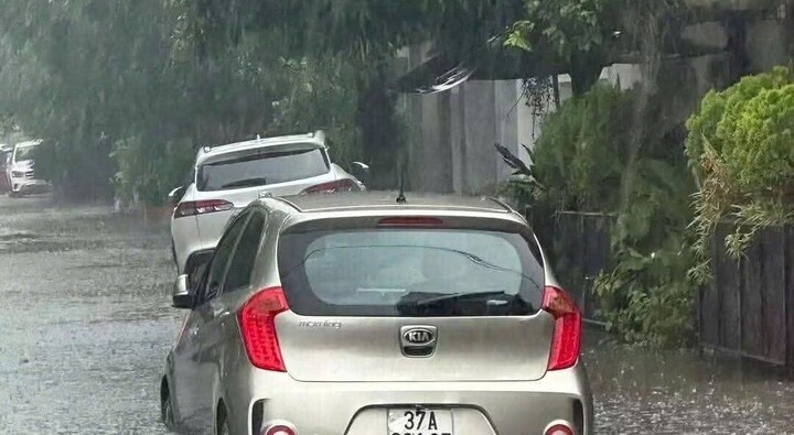 Nghệ An ảnh 5