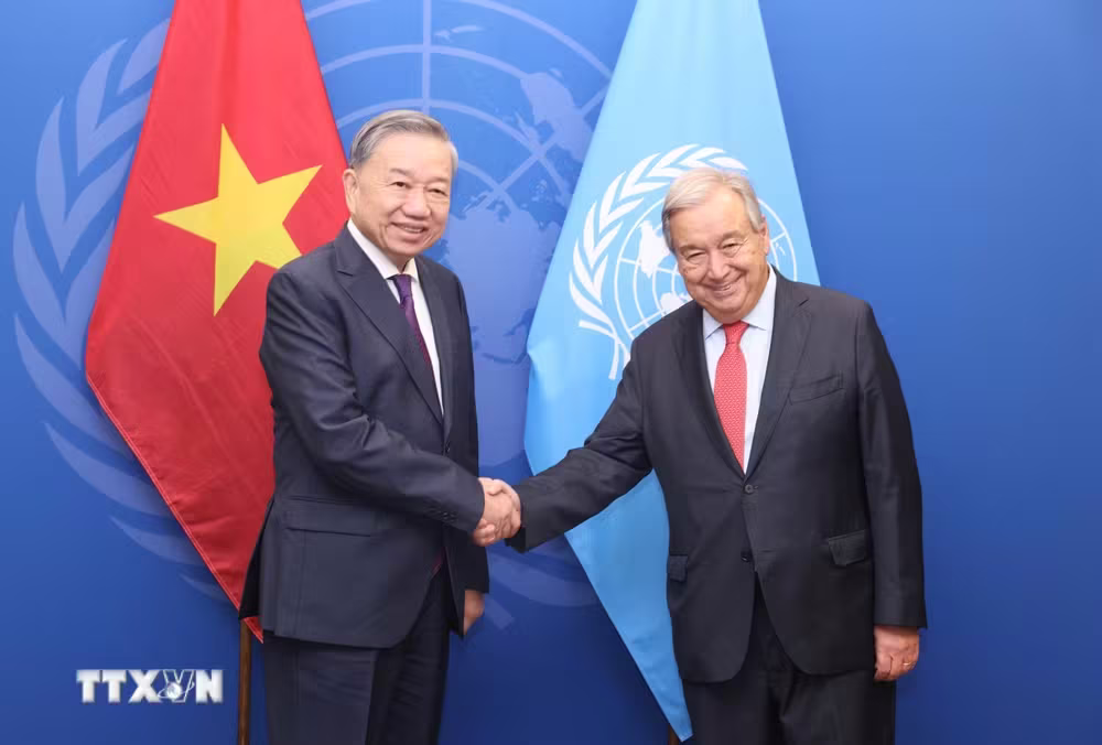 Việt Nam ảnh 2
