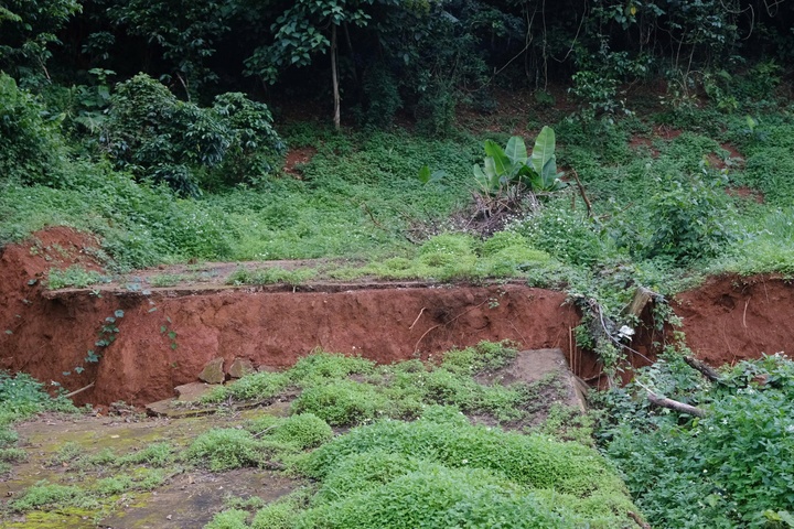 sụt l&uacute;n ảnh 2