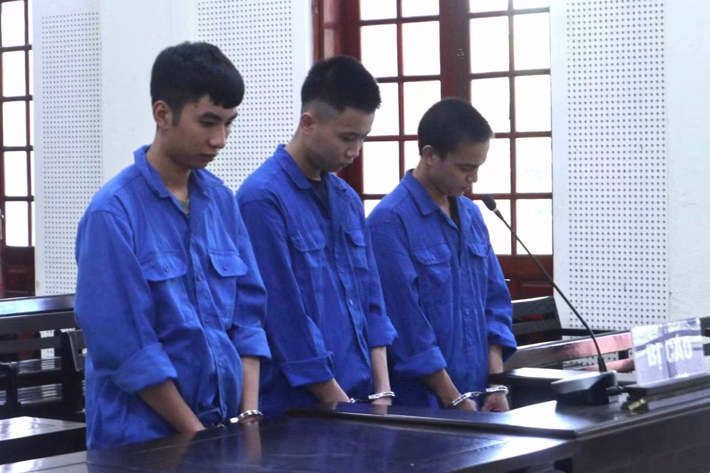 Bí mật trong chuồng gà khiến gã trai 20 tuổi lĩnh án 16 năm tù