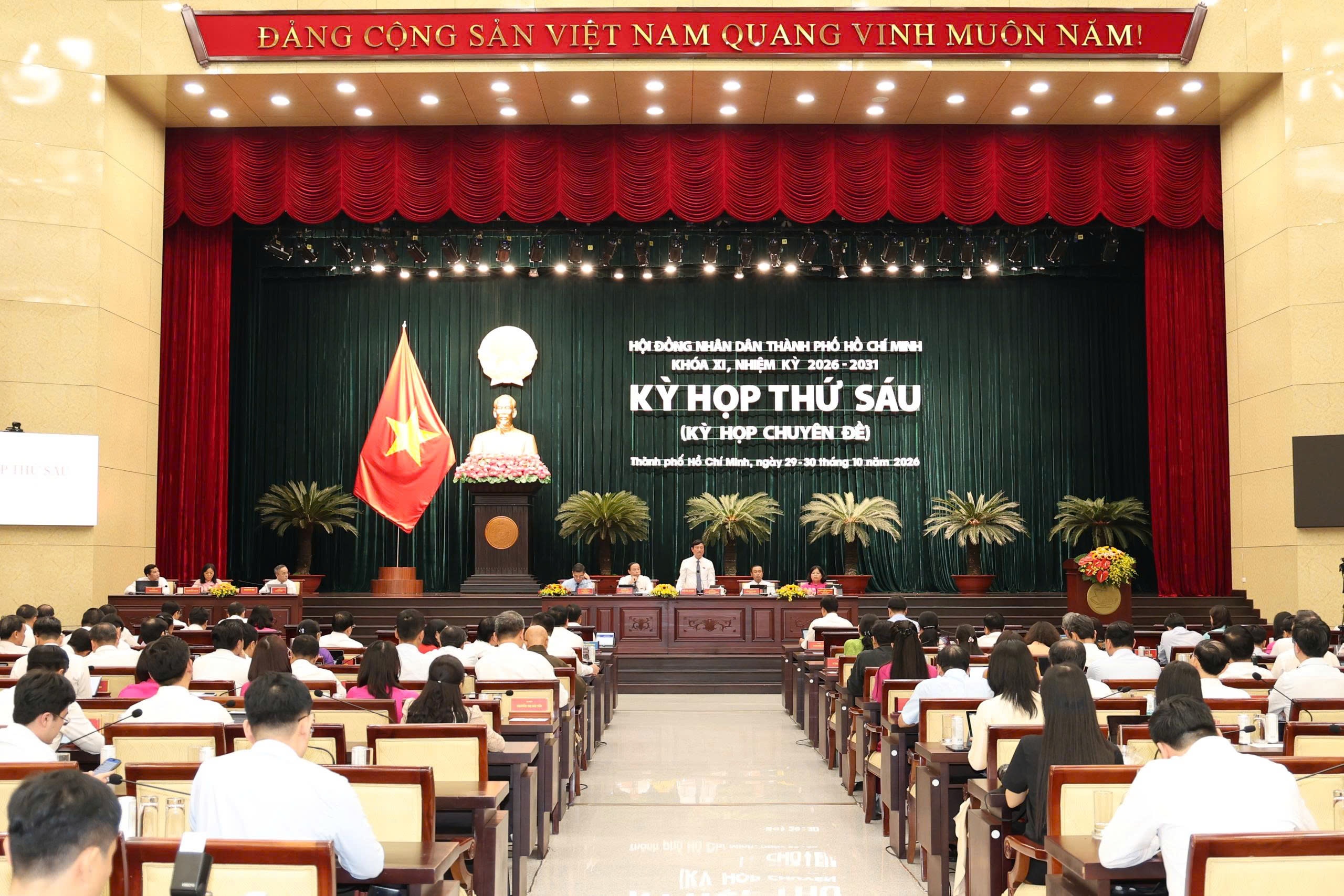  TP.HCM ảnh 3