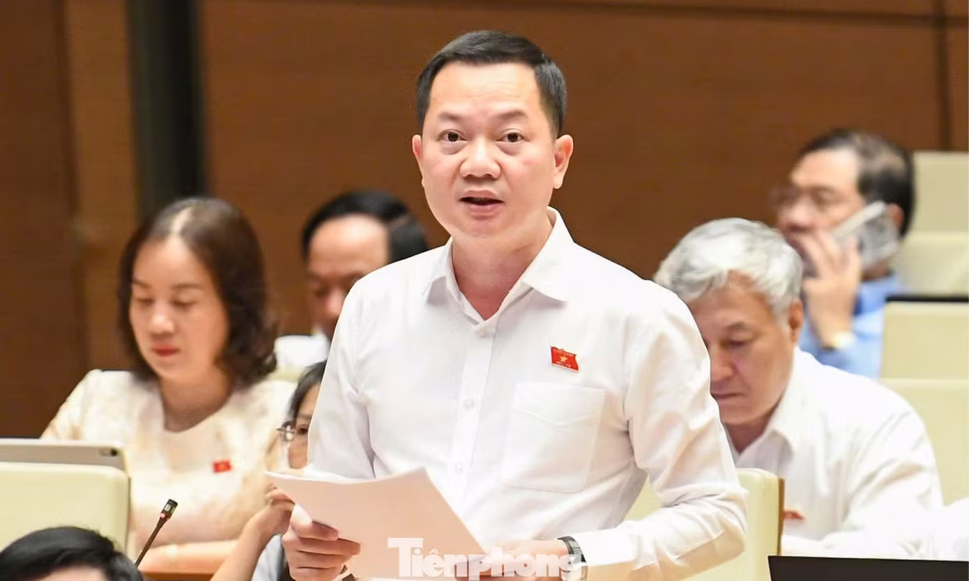 Quốc hội  ảnh 3