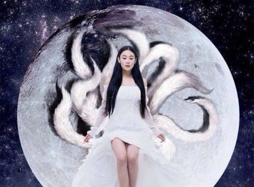 Ly Mac Sau hoa… ho ly 9 duoi hinh anh