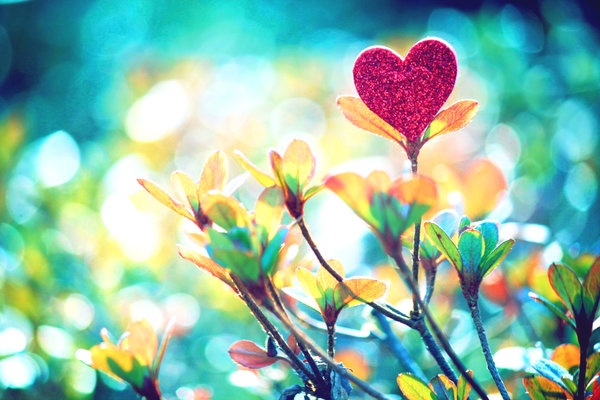 Nhung ban tinh ca cho trai tim co don ngay Valentine hinh anh