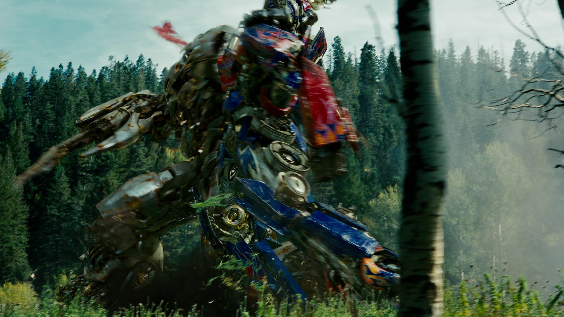 Optimus forest battle hinh anh