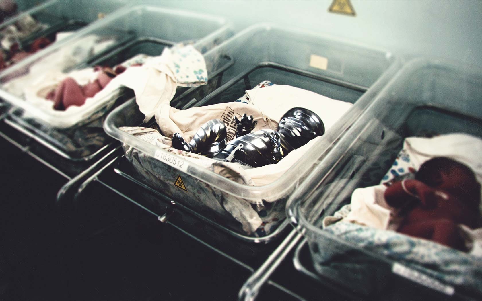 Sự cố tại nhà máy điện hạt nhân Chernobyl đã khiến số lượng trẻ sơ sinh đột biến tăng vọt tại Liên bang Soviet lúc bấy giờ.