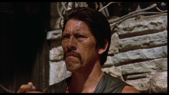 Danny Trejo đã có trong tay một sự nghiệp đồ sộ với hơn 250 lần xuất hiện trong các bộ phim lớn nhỏ tại Hollywood. Các đạo diễn thường trao cho Trejo những vai dữ dằn, hầm hố, anh chị có vẻ ngoài cứng cỏi. Một số phim nổi tiếng mà Danny Trejo từng tham gia là Desperado, From Dusk Till Dawn, Con Air, hai tập phim Machete, cùng một vai nhỏ trong loạt phim truyền hình Breaking Bad.