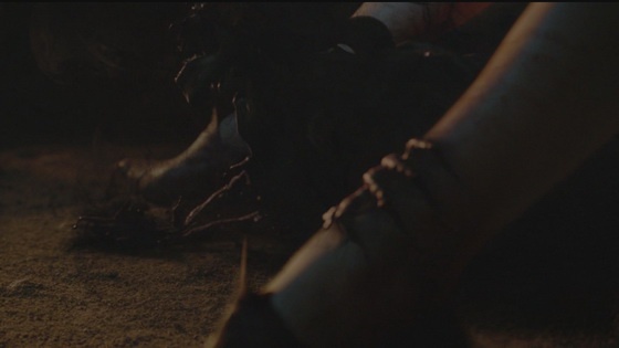 Đó là khi phù thủy Melisandre mang trong mình giọt máu của nhà vua Stannis Baratheon. Lúc hạ sinh, không có một đứa bé nào cất tiếng khóc hết, mà thay vào đó lại là một làn khói đen kì dị mang đủ hình dạng tay chân. Sinh vật vừa được chào đời này bay trong hư không và đến giết chết người em trai Renly của Stannis. Đây là một trường đoạn hết sức ghê rợn.