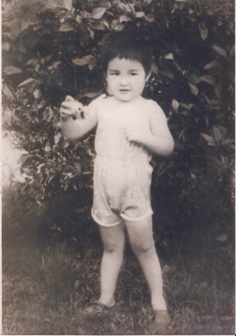 Mới đây, Hoàng Hải đã tiết lộ loạt ảnh từ lúc bé với người hâm mộ