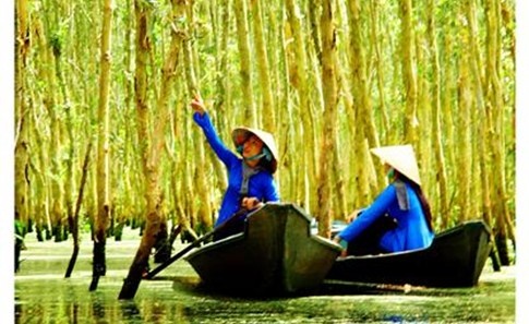 Di trong huong tram hinh anh