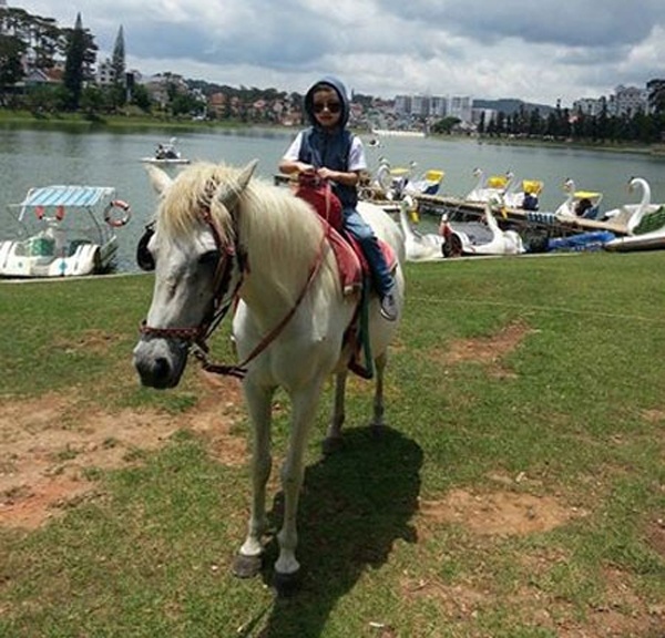 Đây cũng là thời điểm Hồ Ngọc Hà bị anti-fan xúc phạm vì sự cố Anh Thúy ở cuộc thi X Factor nơi cô làm giám khảo. 