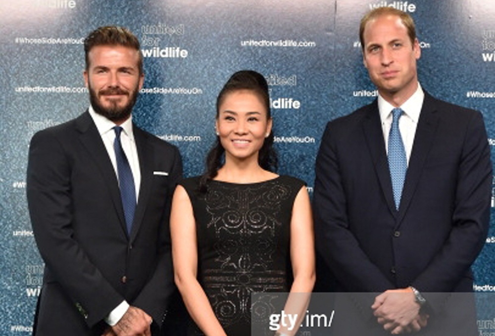 Đây chính là buổi lễ phát động chiến dịch mang tên #WhoseSideAreYouOn?, kêu gọi người dân trên toàn thế giới chung tay đứng về một phía trong cuộc chiến chống lại nạn buôn bán động vật hoang dã bất hợp pháp. Buổi lễ diễn ra tại London với sự chủ trì của hoàng tử William và danh thủ David Beckham thu hút sự chú ý từ công chúng và truyền thông trên toàn thế giới.