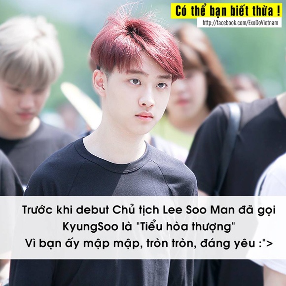 Những hình ảnh vui về D.O. trên fanpage EXO – D.O Việt Nam.