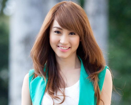 Nhung ca si Viet tung to bi dan anh, dan chi chen ep hinh anh