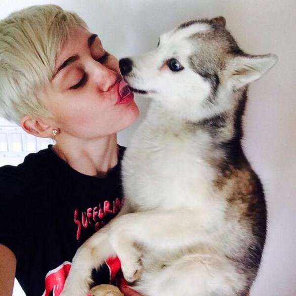 Miley Cyrus và chú cún Floyd khi còn sống.