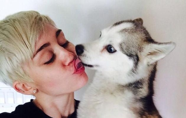 Miley Cyrus nho ba dong de gap lai cun cung hinh anh