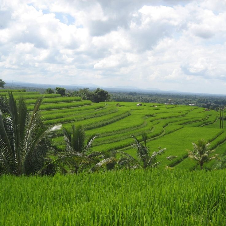 Quần đảo Indonesia không chỉ có Bali là nơi hút khách và túi tiền của bạn có thể được thư giãn hơn khi thoát ra khỏi các khu nghỉ mát đắt đỏ. Những hòn đảo xinh đẹp khác ở đây có chi phí ăn ở khá rẻ: 15-<abbr class=