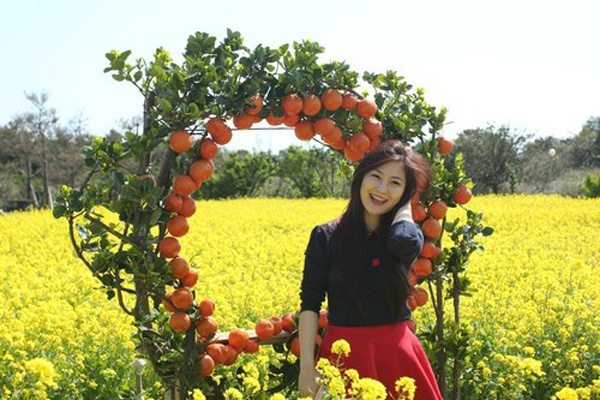 Cũng vào tháng 3 năm ngoái, top 3 Giọng hát Việt mùa giải đầu tiên Hương Tràm, Đinh Hương và Xuân Nghi đến Jeju thăm thú. Hương Tràm tạo dáng ở vườn cam – một trong những cây trồng đặc trưng ở đây. 