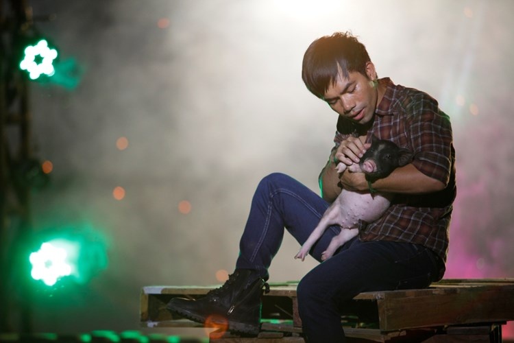 Anh thật thà trả lời sẽ mua thêm lợn về nuôi, chia sẻ này khiến không ít khán giả cười ồ thích thú. Tuy nhiên vào năm ngoái, Yasuy cho biết anh vẫn chưa mua lợn vì nhà không có người nuôi và số tiền thưởng anh đã gửi tiết kiệm để dành cho các dự án âm nhạc. Mới đây, Yasuy gặp scandal con rơi gây ảnh hưởng lớn đến hình ảnh chân thật mà anh từng gây dựng nên. 