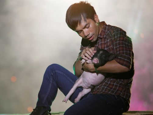 Doat giai thuong tram trieu, cac sao Viet tieu tien the nao? hinh anh