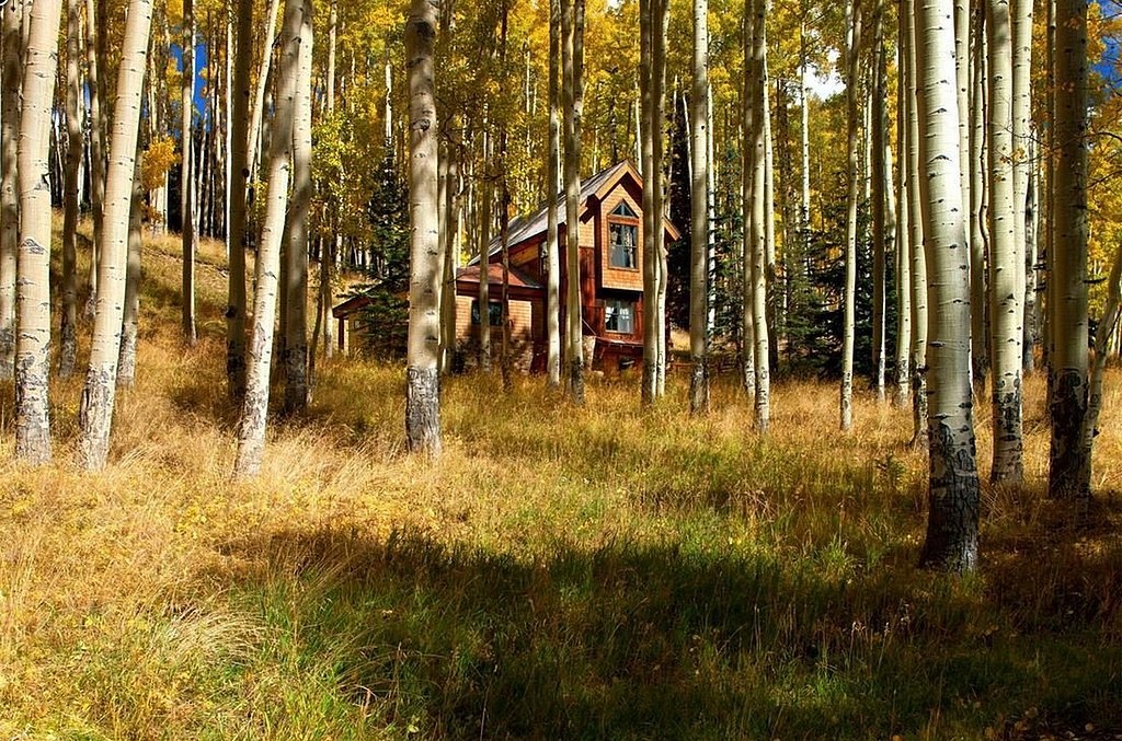 Bao quanh căn nhà là cây cối, vào mùa thu chuyển màu lá, khung cảnh càng thêm thơ mộng, yên bình.