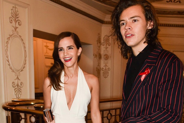 Cu dan mang muon Emma Watson ket doi voi Harry Styles hinh anh