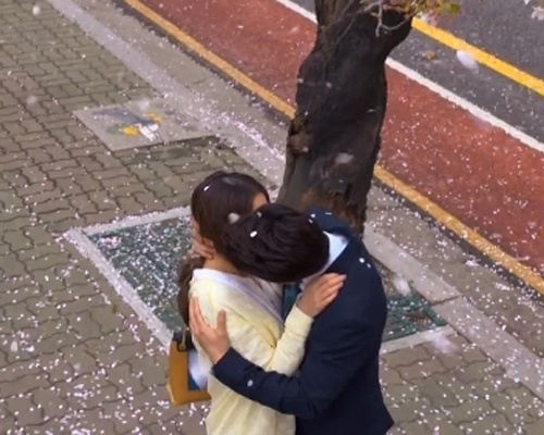 Cunning Single Lady - nu hon duoi cay hoa anh dao hinh anh