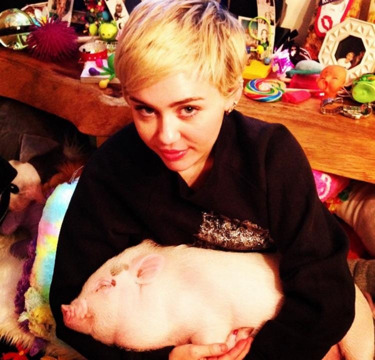 Miley sống cùng 6 thú cưng trong nhà.