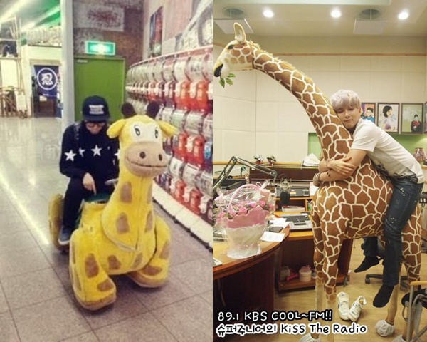 Năm 2012, Ryeowook được các fan ở Thái Lan tặng một chú hươu cao cổ thực sự. 